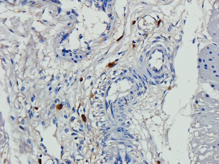 产品细节图片10