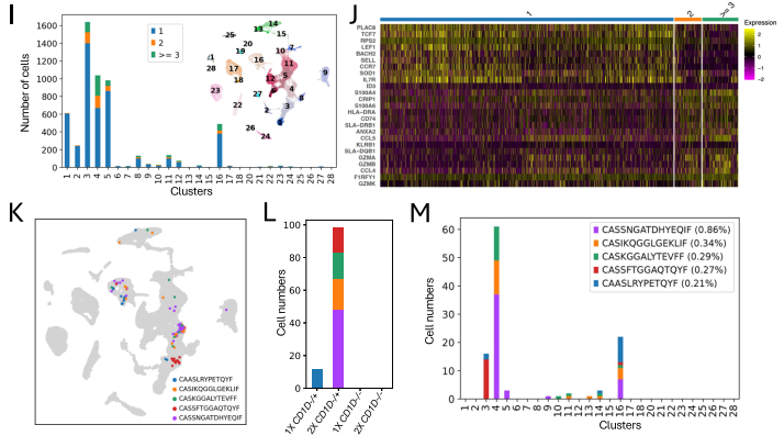 文献解读 | 非模式物种猪的单细胞免疫组库测序揭示了流感病毒感染下的T/B细胞受体多样性及克隆扩增特征