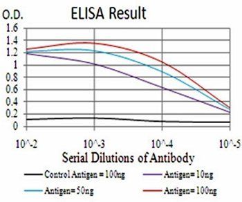 BMP2 Antibody抗体，orb334017，bior