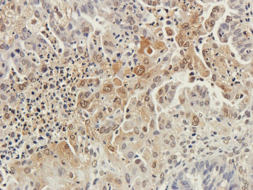 产品细节图片7