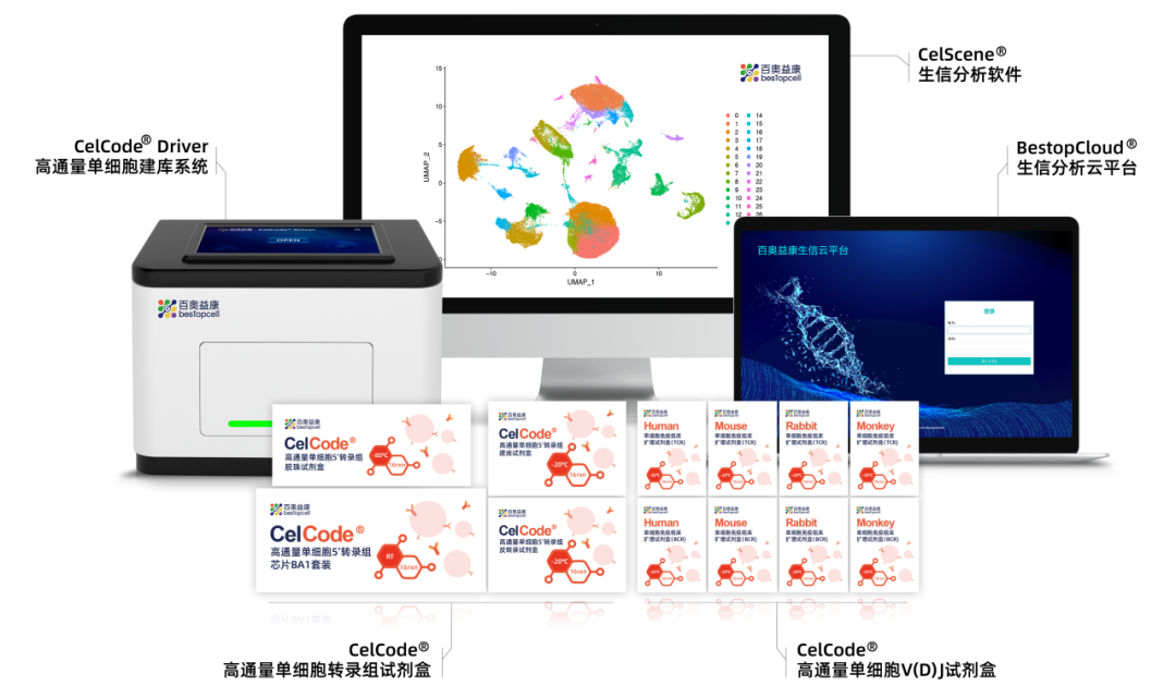 文献解读 | 非模式物种猪的单细胞免疫组库测序揭示了流感病毒感染下的T/B细胞受体多样性及克隆扩增特征