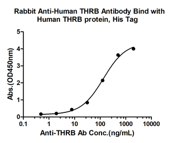 THRB Rabbit Polyclonal Antibod