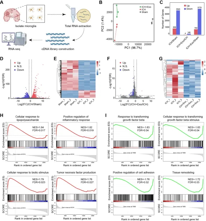 生物信息学分析 生物信息学分析