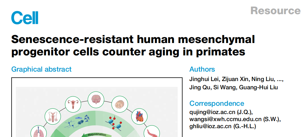 IF=42.5 Absin产品助力灵长类动物衰老逆转实验