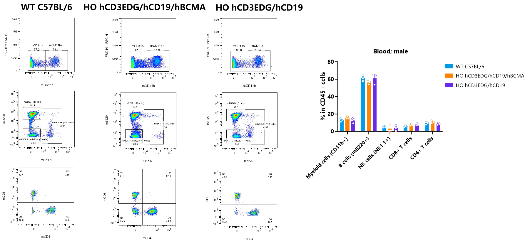 CD3/CD19/BCMA 从肿瘤免疫到自身免疫性疾病的多面利器