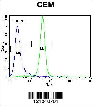 PPARA Antibody抗体，orb1269301，bi