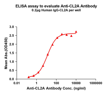 CL2A Antibody抗体,orb2322384,bio