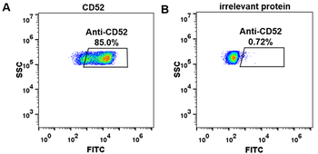 CD52 Biosimilar Antibody抗体，orb