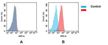 CD27 Antibody抗体，orb757381，bior