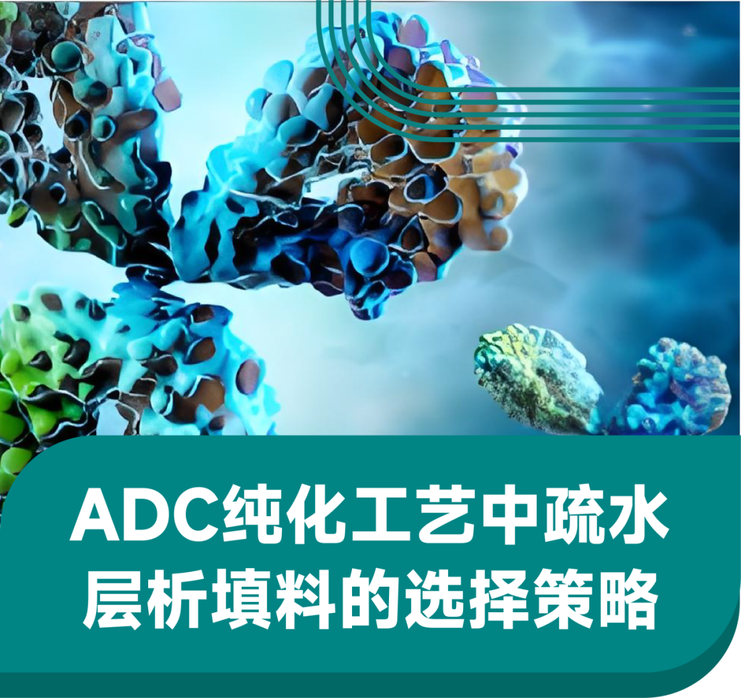 ADC 纯化工艺中疏水层析填料的选择策略