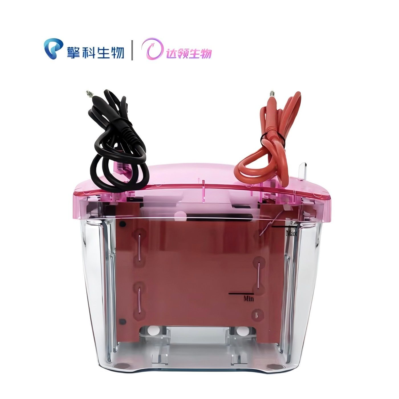 迷你转印电泳仪