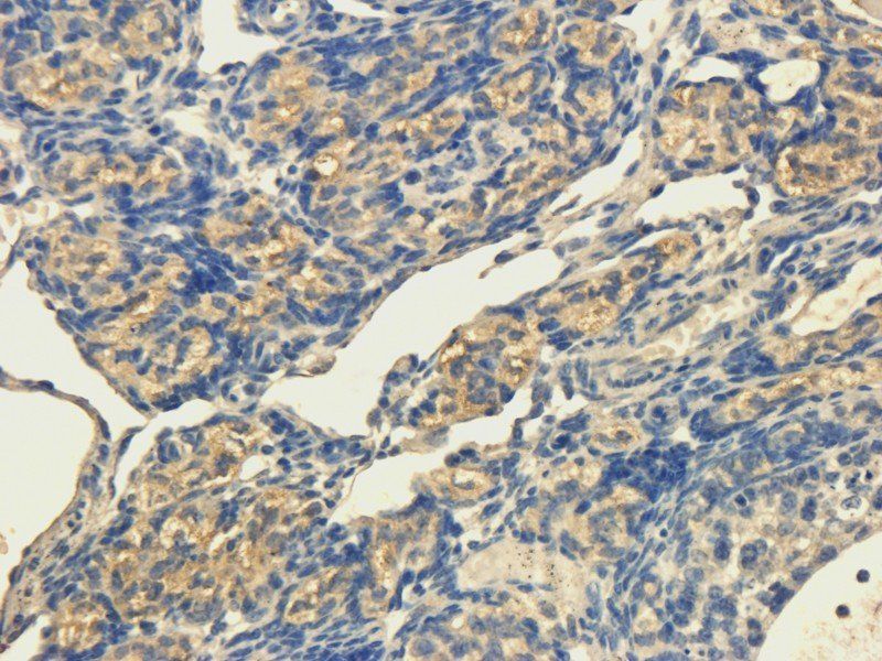 产品细节图片10