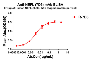 NEFL Antibody抗体，orb2322392，bio