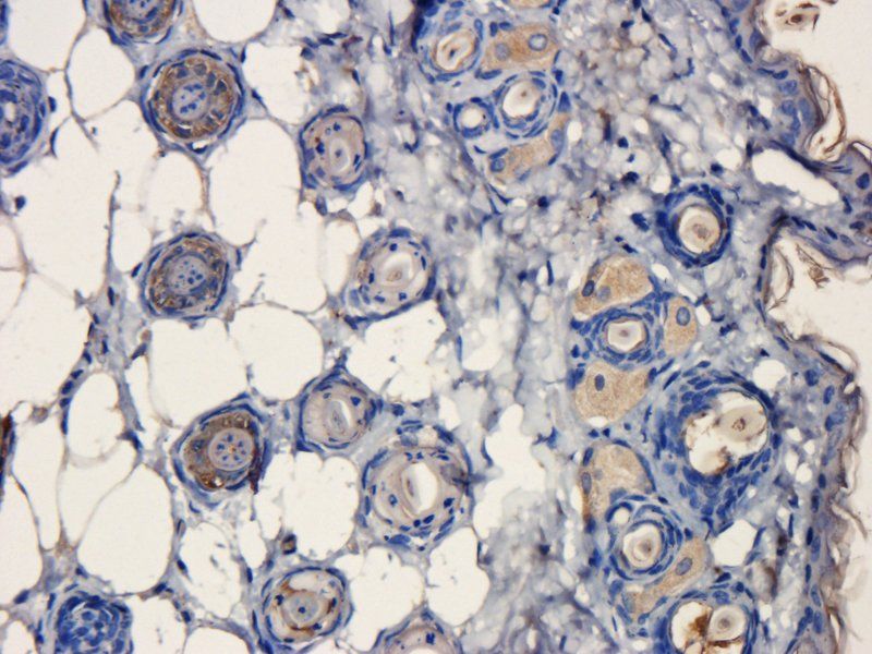 产品细节图片10