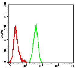 COL1A1 Antibody抗体，orb636648，bi