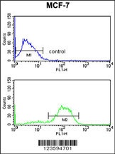 DAGLB Antibody抗体，orb1262265，bi