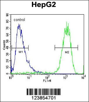 ATP5H Antibody抗体，orb1270928，bi