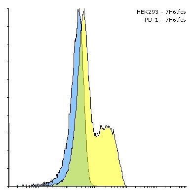 PD1 Antibody [7H6]抗体，orb123976