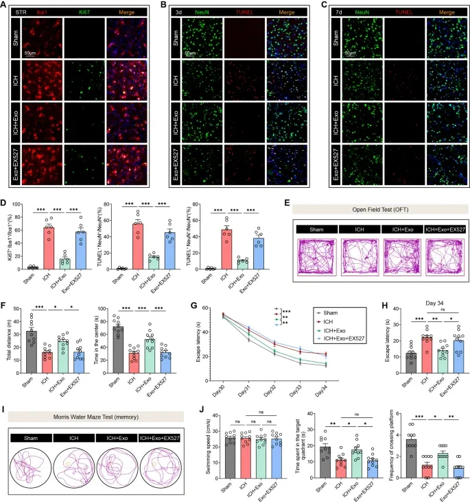 免疫荧光分析 免疫荧光分析