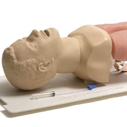 挪度成人气道管理模型#25000026 挪度成人气管插管训练模型 挪度气道插管模型人