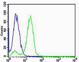 NDUFB4 Antibody抗体，orb1879771，b
