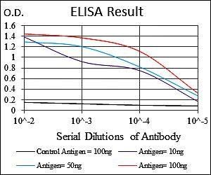 PPP1CA Antibody抗体,orb97412,bio
