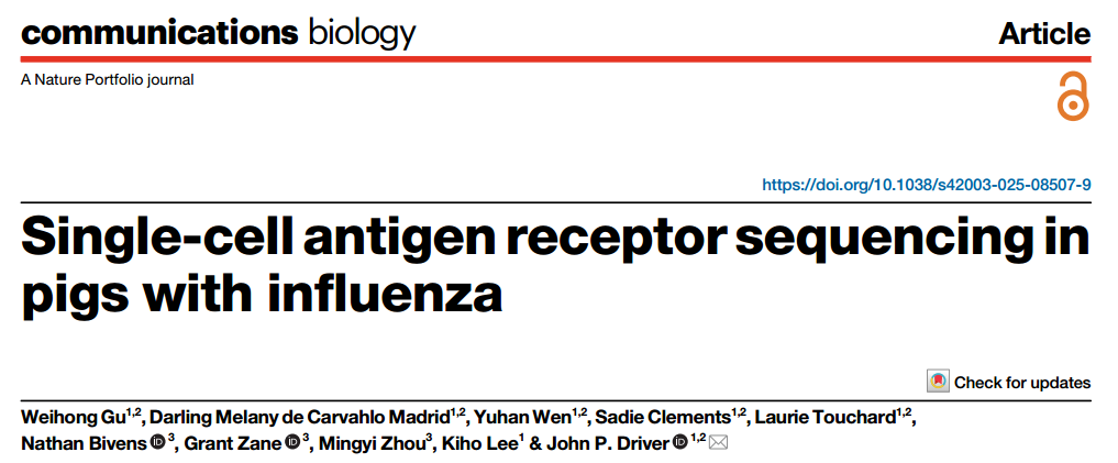 文献解读 | 非模式物种猪的单细胞免疫组库测序揭示了流感病毒感染下的T/B细胞受体多样性及克隆扩增特征