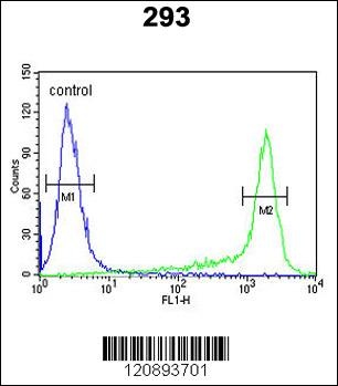 PRDX6 Antibody抗体，orb1264502，bi