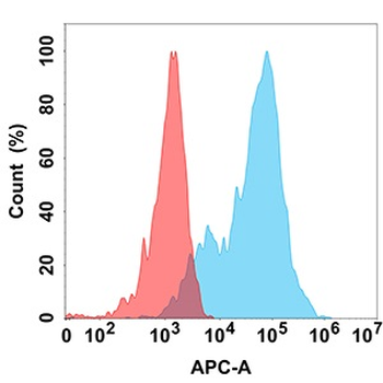 EPHA3 Antibody抗体，orb1174007，bi