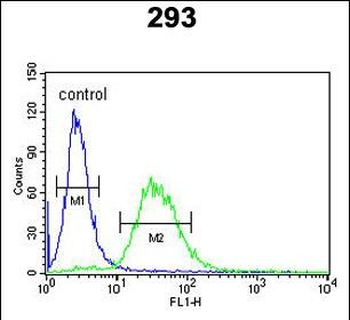 F10 Antibody (C-term)抗体，orb369