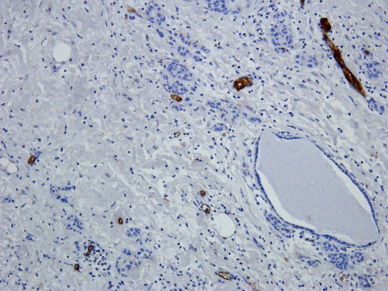 产品细节图片10