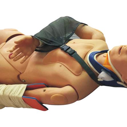 闭合式四肢骨折固定训练模型