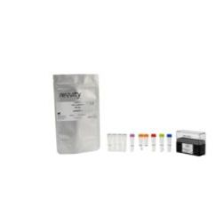 HTRF Human Phospho-AKT1/2/3 (Ser473) Detection Kit-Revvity-瑞孚迪