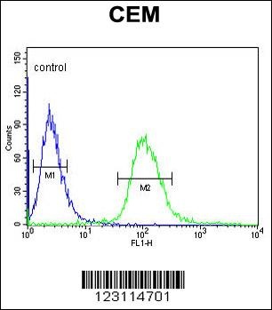 UTY Antibody抗体，orb1262389，bior