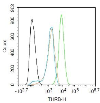 THRB Rabbit Polyclonal Antibod