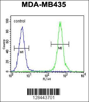HP Antibody抗体，orb1270670，biorb