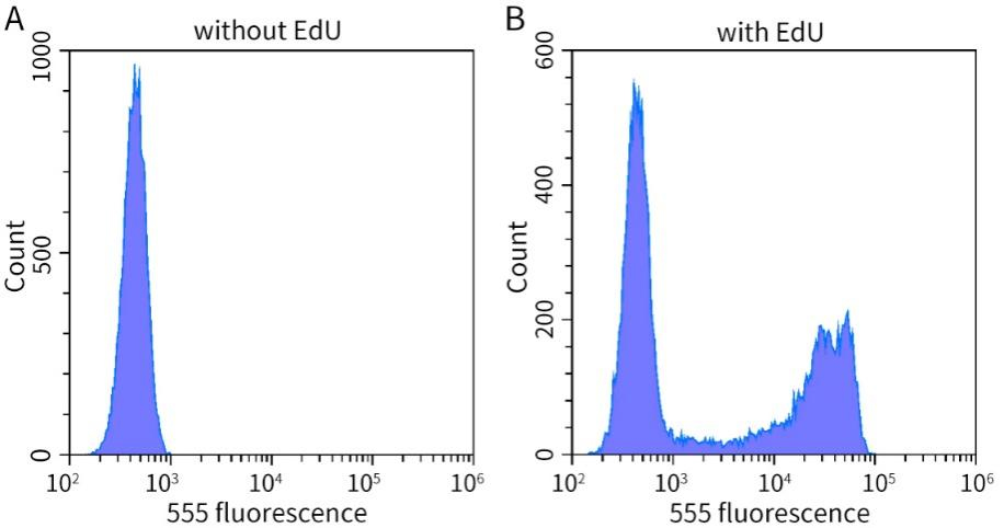 EdU升级！细胞增殖检测效率翻倍