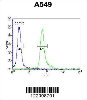 TAGAP Antibody抗体，orb1270478，bi