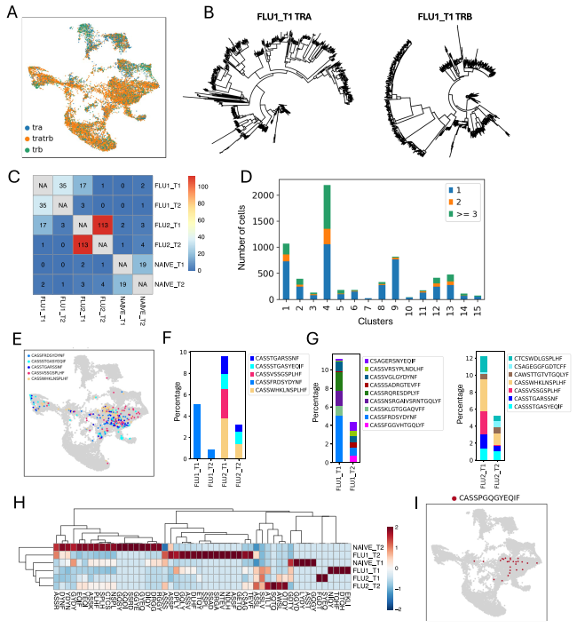 文献解读 | 非模式物种猪的单细胞免疫组库测序揭示了流感病毒感染下的T/B细胞受体多样性及克隆扩增特征
