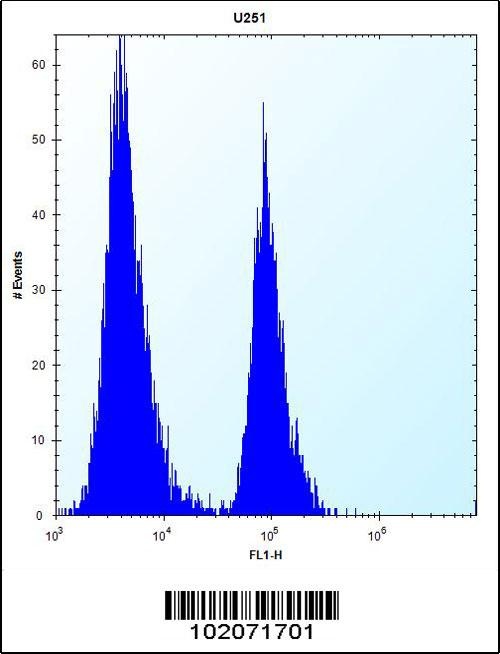 ST5 Antibody抗体，orb1263923，bior