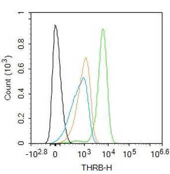 THRB Rabbit Polyclonal Antibod