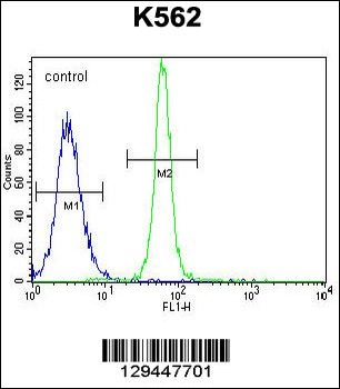 LRIT1 Antibody抗体,orb1270183,bi