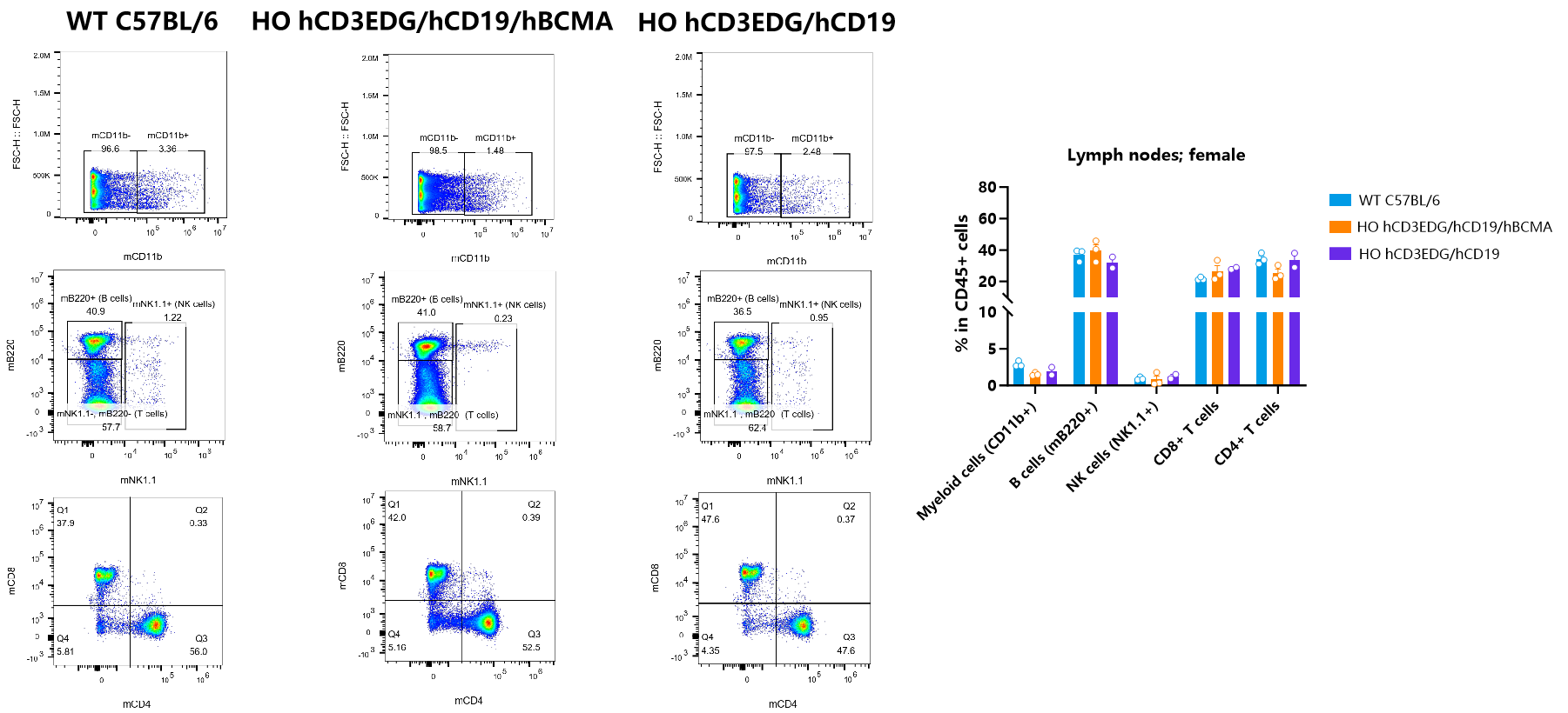 CD3/CD19/BCMA 从肿瘤免疫到自身免疫性疾病的多面利器