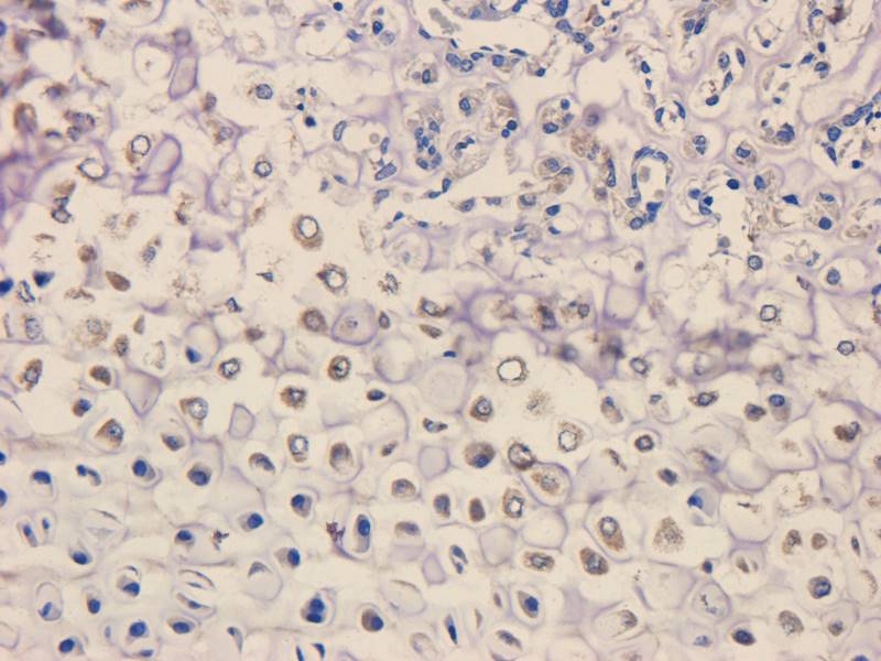 产品细节图片10