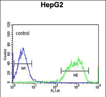 PXMP2 Antibody (Center)抗体，orb4