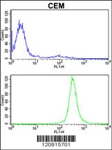 IMMT Antibody抗体，orb1264499，bio