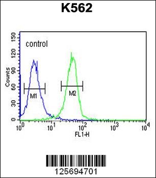 EFR3A Antibody抗体,orb1264369,bi