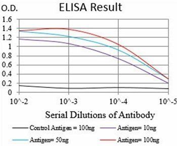 MuRF1 Antibody抗体，orb229808，bio