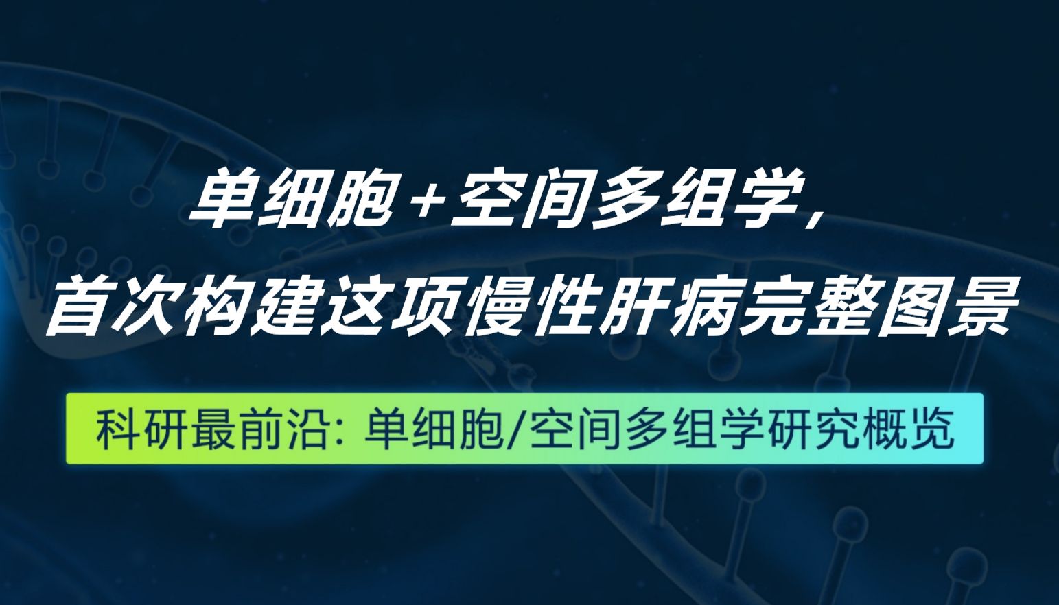 Nature Genetics丨单细胞+空间多组学，首次构建这项慢性肝病完整图景