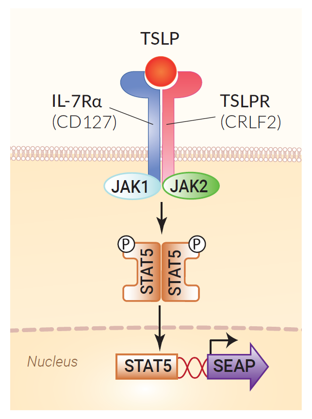 7c8340d929e4b92c096ef1aac717484.png 7c8340d929e4b92c096ef1aac717484.png